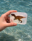 Seifen mit Dinosaurier
